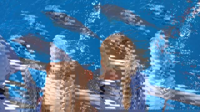 Explore Group | Auckland | Tikapa Moana - Whales, Dolphins & Islands Cruise