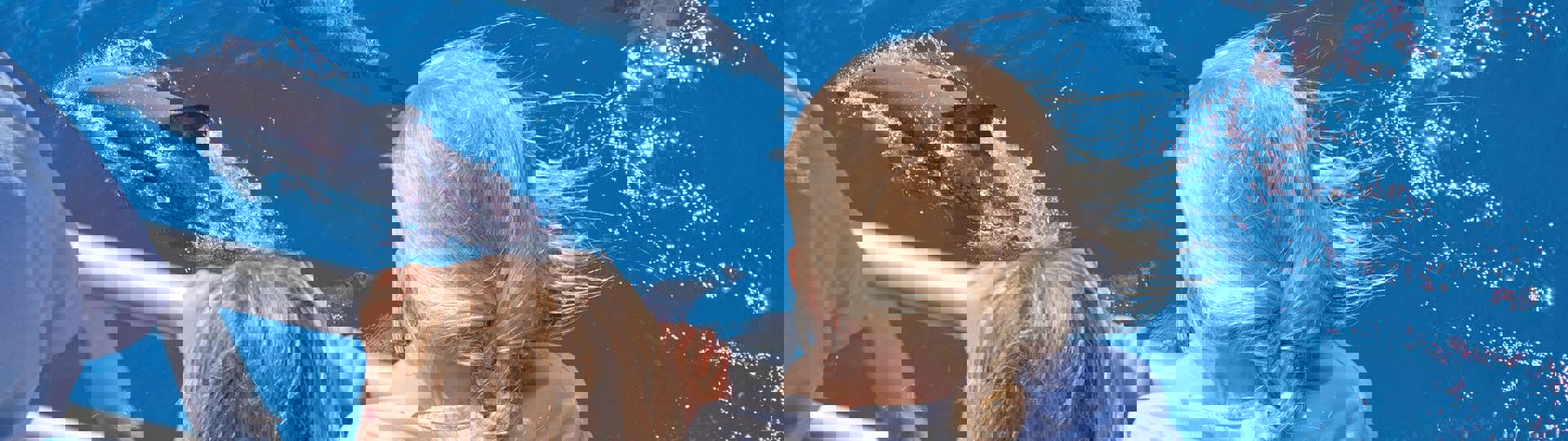 Explore Group | Auckland | Tikapa Moana - Whales, Dolphins & Islands Cruise