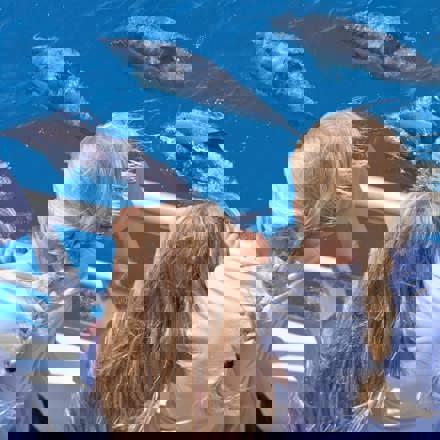 Explore Group | Auckland | Tikapa Moana - Whales, Dolphins & Islands Cruise