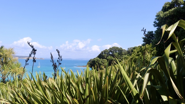 Explore Group | Tiritiri Matangi Island | Hauraki Gulf Views