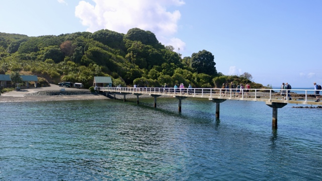 Explore Group | Tiritiri Matangi Island | Wharf 