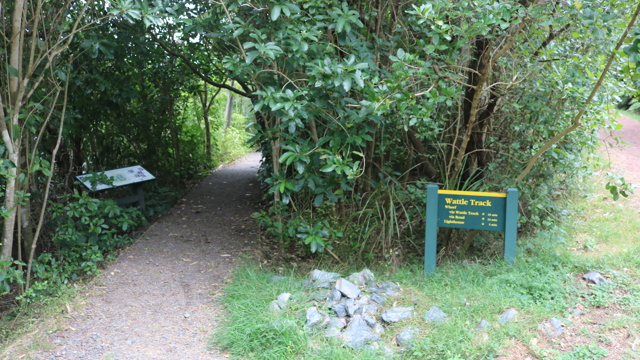 Explore Group | Tiritiri Matangi Island | Island walking tracks