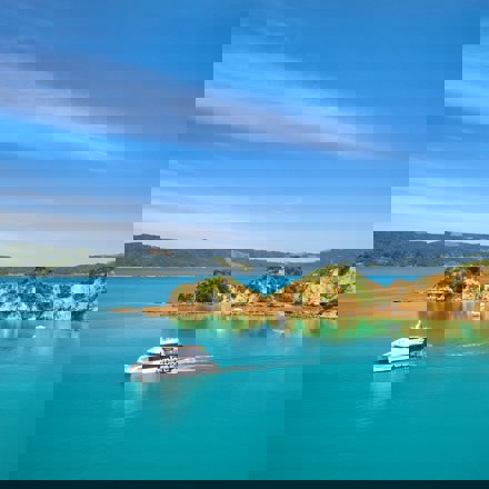 Explore Group | Rotoroa Island | Cruise through the Hauraki Gulf